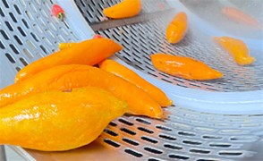 蒸汽去皮機(jī)的優(yōu)點(diǎn)有哪些呢？