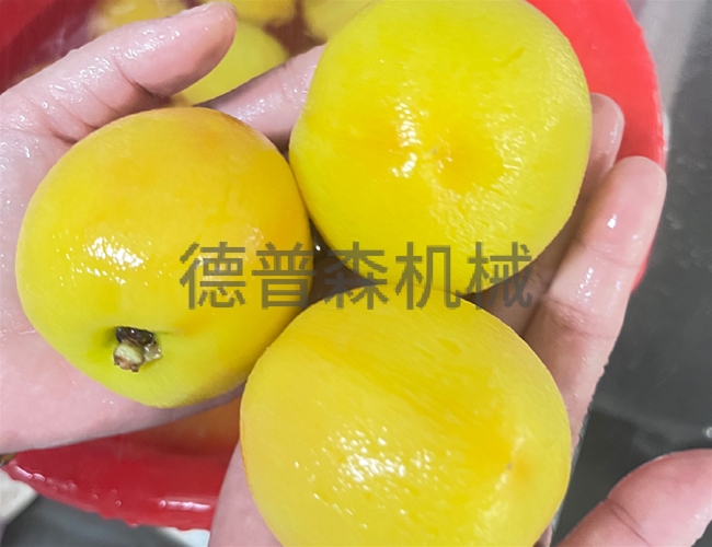 黃桃蒸汽去皮設備