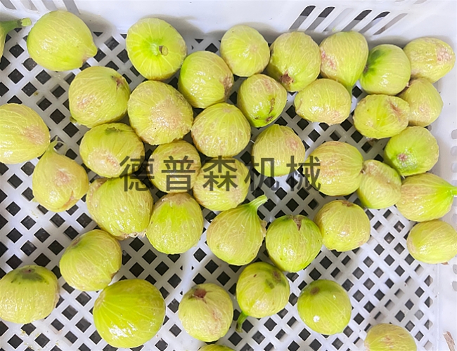無花果蒸汽去皮設備